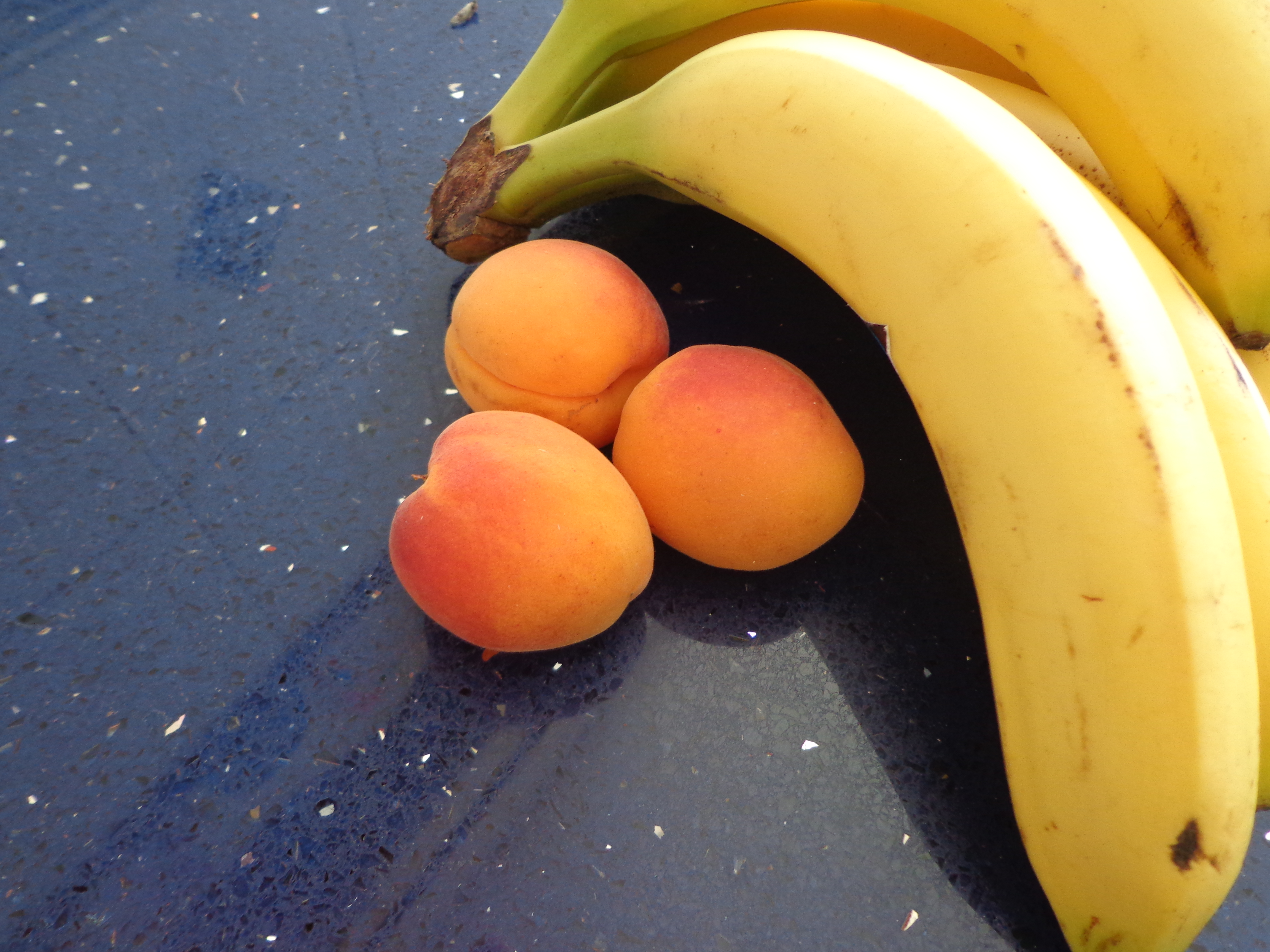 Prebiotica, voeding voor de darm