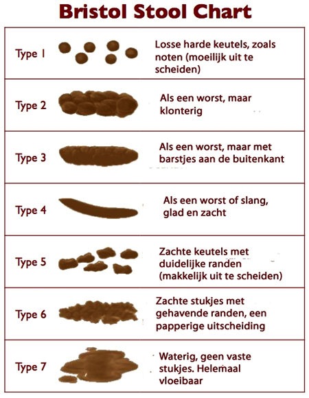 Bristol Stool Chart