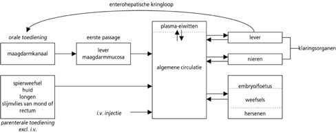 Route van opgenomen stoffen in het lichaam (enteropatische kringloop)