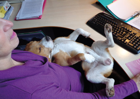 De ‘Rust-Test’, een wereldwijd onderzoek