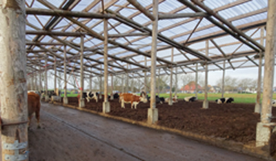 Boeren, boeren winkels, boeren markten en boeren producten