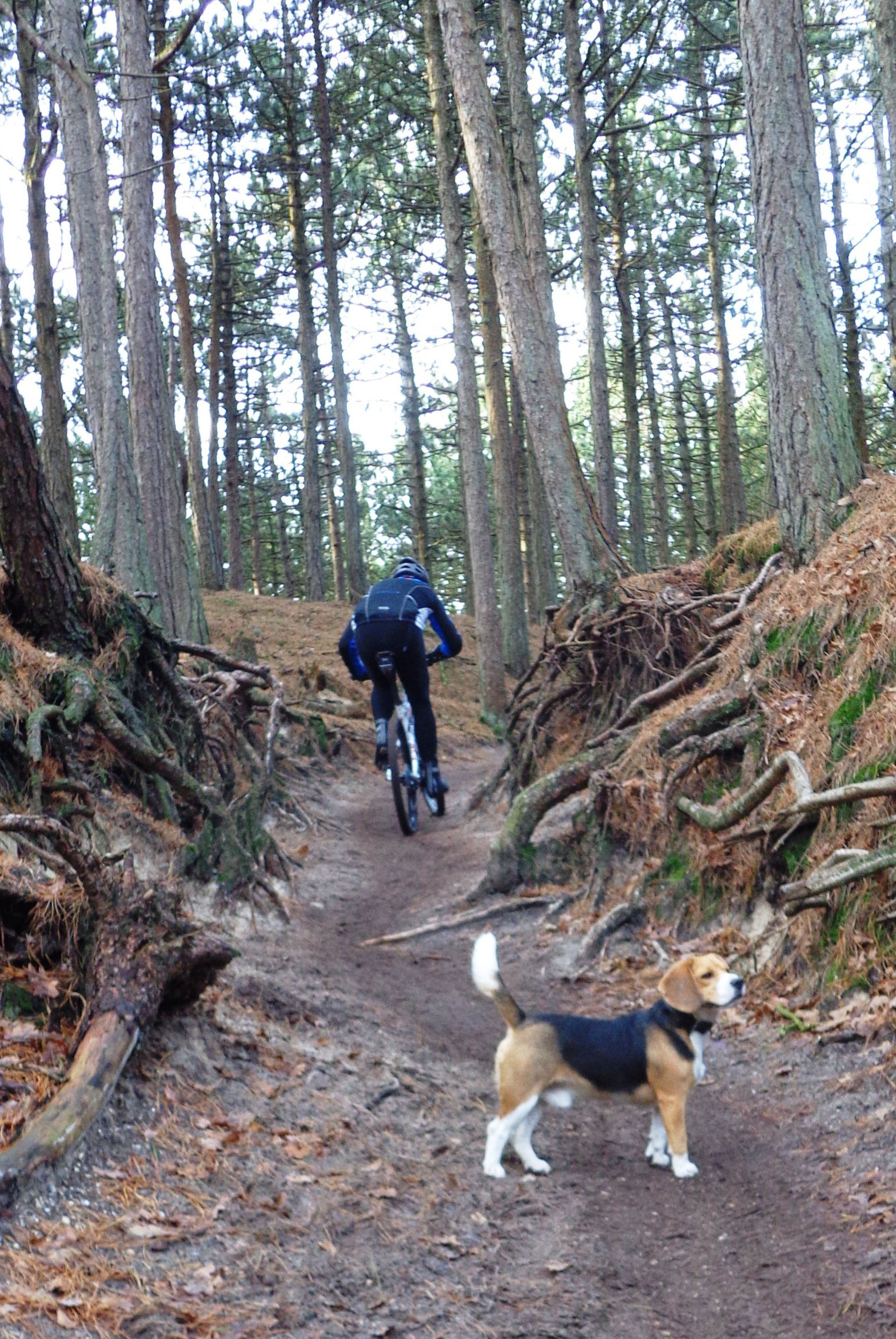 Topsporters: tekort aan vitaminen- en mineralen