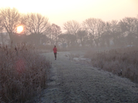 Opgebrand door ontstekingen