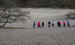 Topsporters: tekort aan  vitaminen- en mineralen