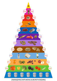 De voedingspiramide bij zwangerschap(wens) & Borstvoeding