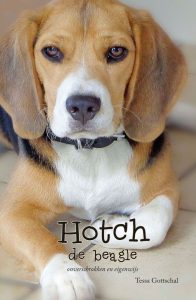 Zelf gezond eten maken voor hond en kat