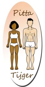 Ayurvedische constituties