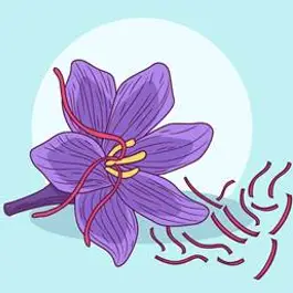 Neuroprotectieve en cognitief-versterkende effecten van Bacopa monnieri