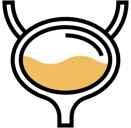 Incontinent door eten van sterk bewerkt voedsel